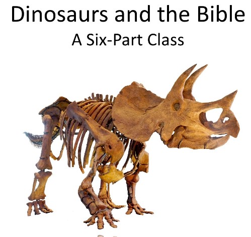 Dinosaurs and the Bible Online Course